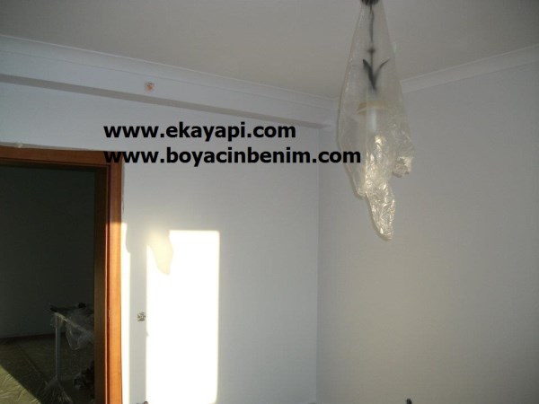 GaziOsmanpaşa Boyacı